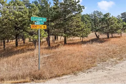 18230 Cumbres Court, Peyton, CO 80831 - Photo 17