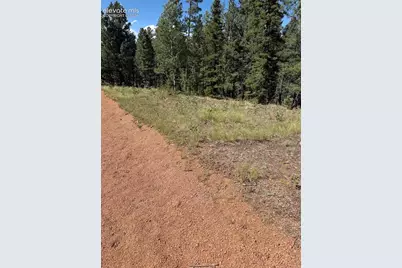 1007 Derby Drive, Cripple Creek, CO 80813 - Photo 3