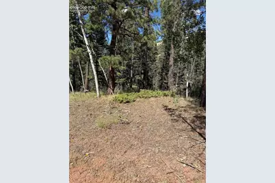 1007 Derby Drive, Cripple Creek, CO 80813 - Photo 1