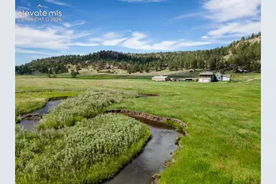 1636 Lakemoor Drive, Florissant, CO 80816 - Photo 3