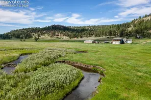 1636 Lakemoor Dr, Florissant, CO 80816 - Photo 3
