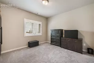 9846 Bison Vly Trl, Colorado Springs, CO 80908 - Photo 39