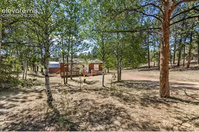 331 Rhyolite Lane, Florissant, CO 80816 - Photo 19