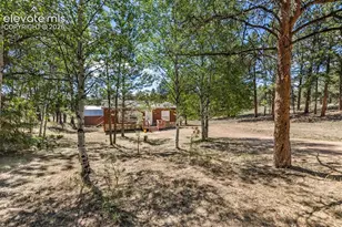 331 Rhyolite Ln, Florissant, CO 80816 - Photo 19