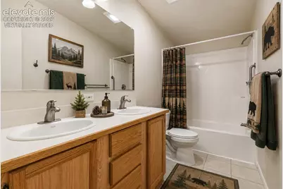 331 Rhyolite Lane, Florissant, CO 80816 - Photo 11