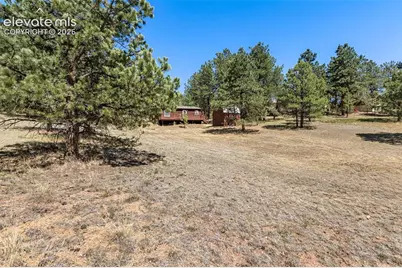 331 Rhyolite Lane, Florissant, CO 80816 - Photo 17