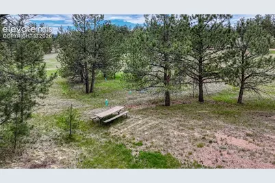 330 Arrowhead Dr Drive, Florissant, CO 80816 - Photo 17