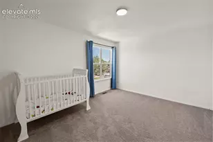 12356 Tex Tan Rd, Peyton, CO 80831 - Photo 23