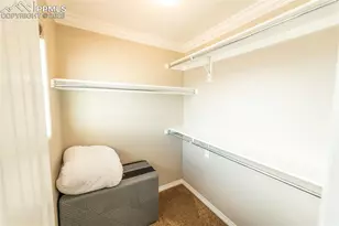 2415 Reed Grass Way, Colorado Springs, CO 80915 - Photo 39