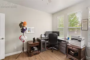 3415 Limber Pine Ct, Colorado Springs, CO 80920 - Photo 19