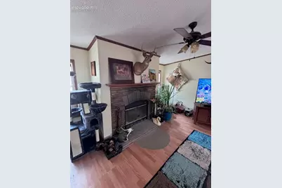 4758 Copper Gulch Road, Cotopaxi, CO 81223 - Photo 3
