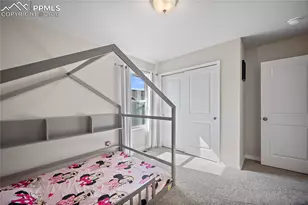 4295 Samaritan Loop, Colorado Springs, CO 80916 - Photo 29