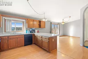 300 Piney Point Ln, Woodland Park, CO 80863 - Photo 7