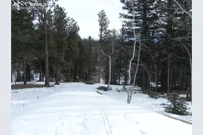 372 Vindicator Drive, Cripple Creek, CO 80813 - Photo 13