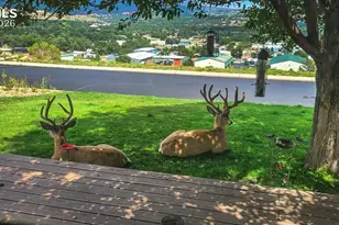 65 Pendelton Cir, Colorado Springs, CO 80914 - Photo 47