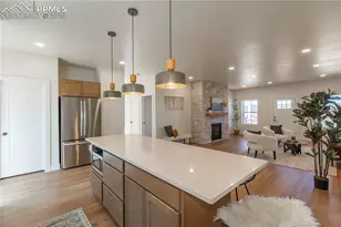 484 Due S Rd, Florissant, CO 80816 - Photo 13