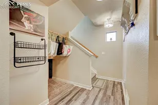 6669 John Muir Trl, Colorado Springs, CO 80927 - Photo 15