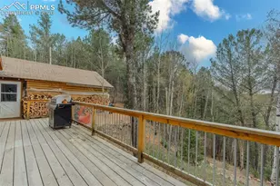 847 Timber Ridge Rd, Divide, CO 80814 - Photo 27
