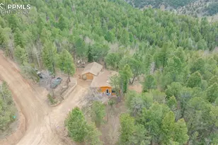 847 Timber Ridge Rd, Divide, CO 80814 - Photo 31