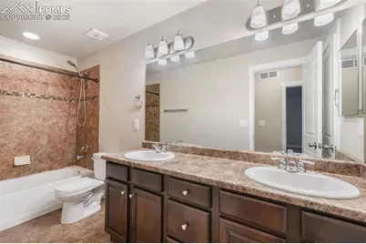 7296 Alpine Daisy Drive, Colorado Springs, CO 80925 - Photo 41