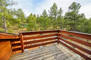 31 Wallace Dr, Florissant, CO 80816 - Photo 13