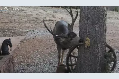 10316 El Paso Avenue, Green Mountain Falls, CO 80819 - Photo 27