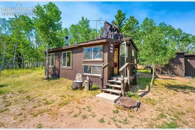 106 Forest Court, Guffey, CO 80820 - Photo 3
