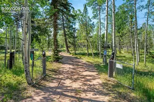 106 Forest Ct, Guffey, CO 80820 - Photo 1