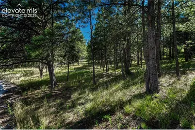 1103 Greenland Forest Drive, Monument, CO 80132 - Photo 41