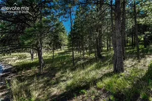 1103 Greenland Forest Dr, Monument, CO 80132 - Photo 41
