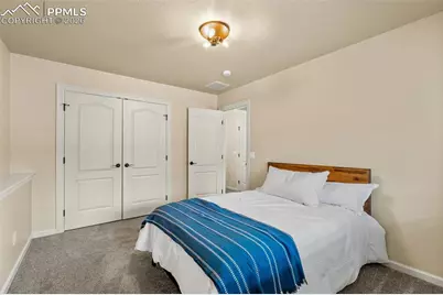 1169 Ptarmigan Drive, Woodland Park, CO 80863 - Photo 33