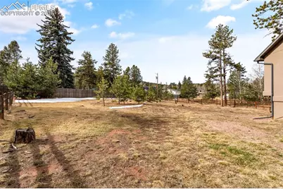 1169 Ptarmigan Drive, Woodland Park, CO 80863 - Photo 43