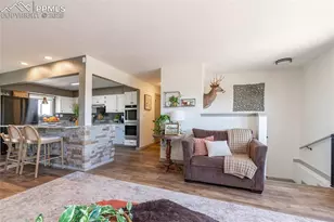 11170 Peaceful Valley Rd, Colorado Springs, CO 80925 - Photo 13