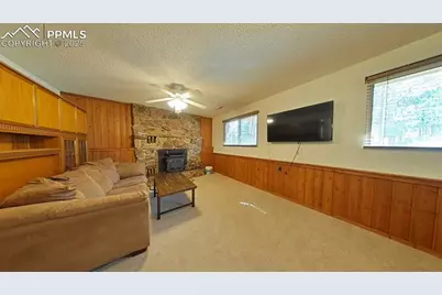 706 N Elm Street, Woodland Park, CO 80863 - Photo 19