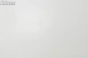 1513 E 4th St, Pueblo, CO 81001 - Photo 25