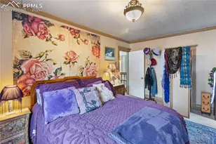 410 Lee Ave, Victor, CO 80860 - Photo 23