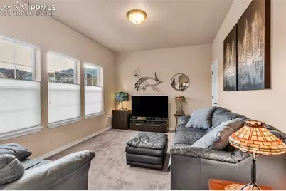 1634 Nellie Lane, Colorado Springs, CO 80905 - Photo 15