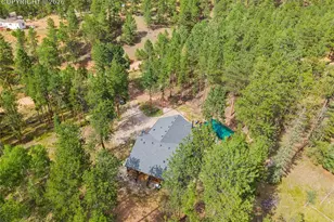 352 Peak View Cir, Florissant, CO 80816 - Photo 29