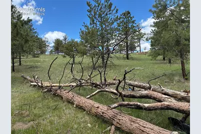 266 Chapparal Trail, Florissant, CO 80816 - Photo 9