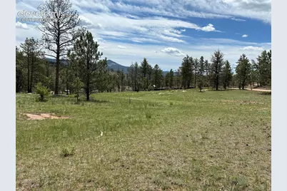 266 Chapparal Trail, Florissant, CO 80816 - Photo 1