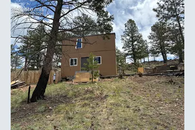266 Chapparal Trail, Florissant, CO 80816 - Photo 21