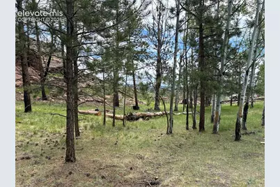266 Chapparal Trail, Florissant, CO 80816 - Photo 29