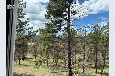 266 Chapparal Trail, Florissant, CO 80816 - Photo 23