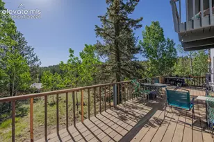 419 W Lake Dr, Divide, CO 80814 - Photo 27