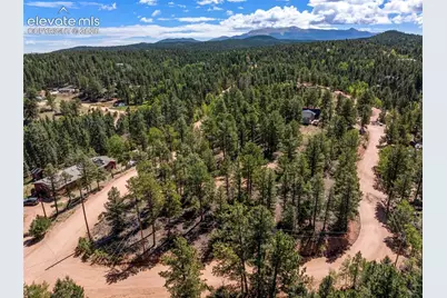 210 Donzi Trail, Florissant, CO 80816 - Photo 9