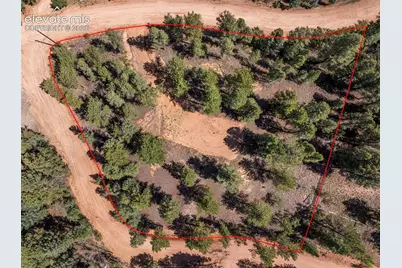210 Donzi Trail, Florissant, CO 80816 - Photo 15