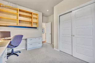 10056 Emerald Lk Ln, Colorado Springs, CO 80924 - Photo 29