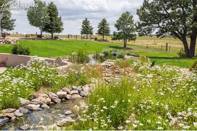 11771 E Smith Road, Elbert, CO 80106 - Photo 15