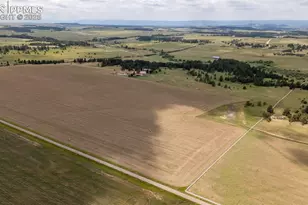 11771 E Smith Rd, Elbert, CO 80106 - Photo 21