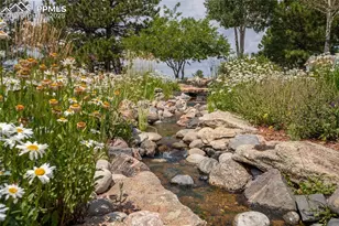 11771 E Smith Rd, Elbert, CO 80106 - Photo 13